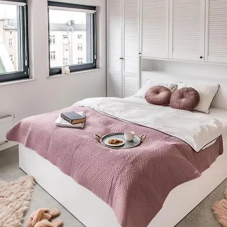 Hedo & Art Loft - Old Town Πόζναν